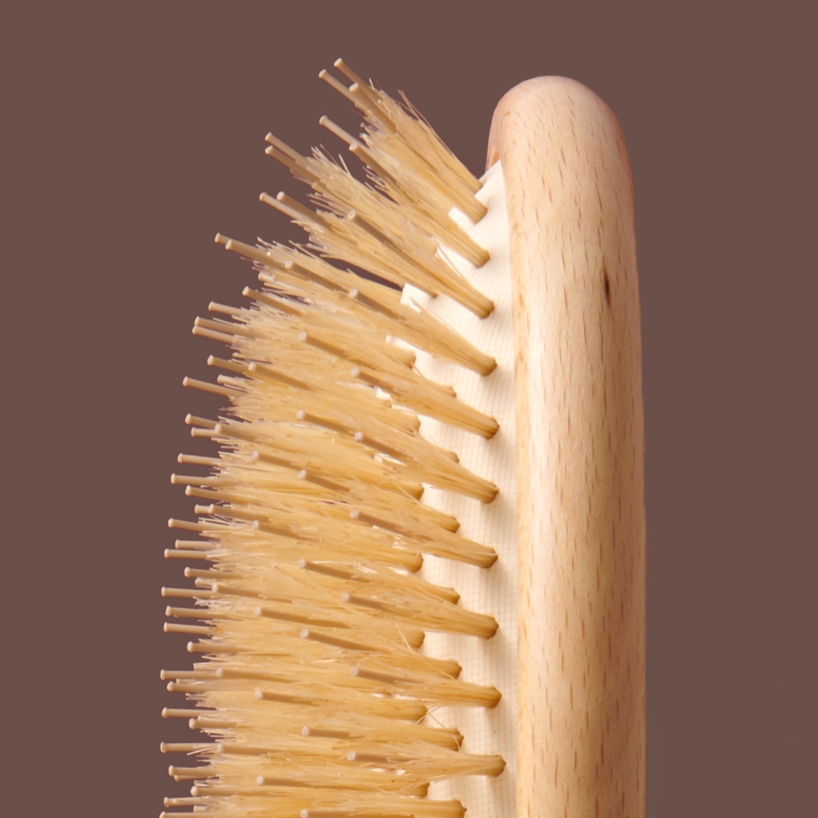 The Dresser Brush