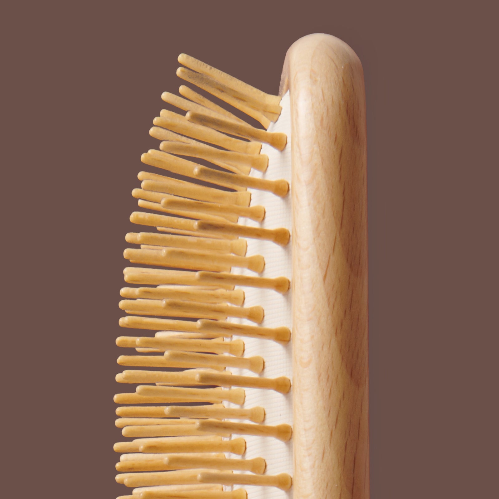 The Paddle Brush
